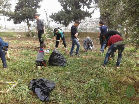 Removing Weeds from School Garden